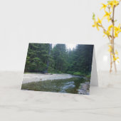 Cummins Creek in Neptune State Park, OF Kaart (Gele Bloem)