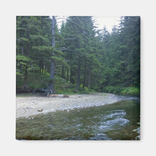 Cummins Creek in Neptune State Park, OF Magneet (Voorkant)
