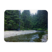 Cummins Creek in Neptune State Park, OF Magneet (Horizontaal)