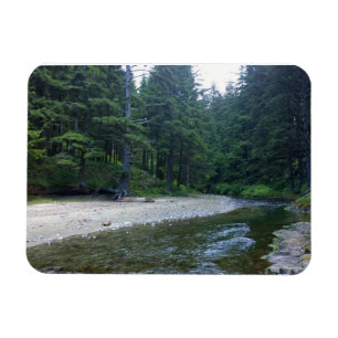 Cummins Creek in Neptune State Park, OF Magneet