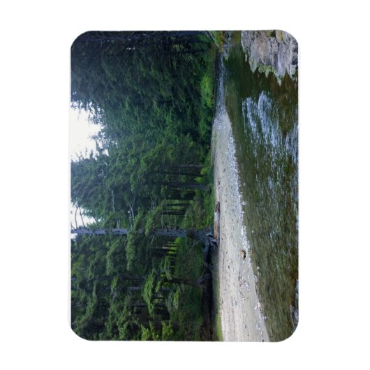 Cummins Creek in Neptune State Park, OF Magneet (Verticaal)