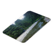 Cummins Creek in Neptune State Park, OF Magneet (Linkerzijde)