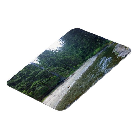 Cummins Creek in Neptune State Park, OF Magneet (Linkerzijde)