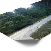 Cummins Creek in Neptune State Park, OF Poster (Hoek)