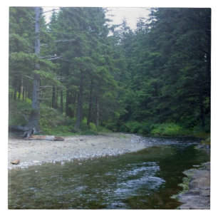Cummins Creek in Neptune State Park, OF Tegeltje