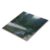 Cummins Creek in Neptune State Park, OF Tegeltje (Zijkant)