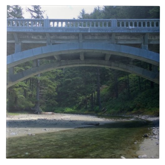 Cummins Creek in Neptune State Park, OF Tegeltje (Voorkant)