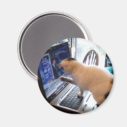 Cumputer Cat Magnet (Voorkant / Achterkant)