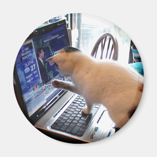 Cumputer Cat Magnet (Voorkant)