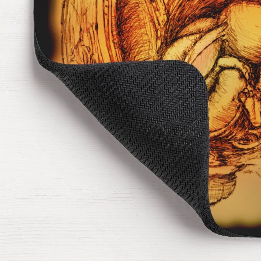 CUNICULUS SAPIEN MUISMAT (Hoek)