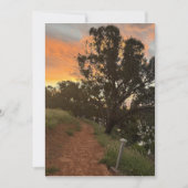 Cunnamulla Avondreizen Groeten Kaart (Voorkant)