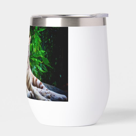 Cup (Links)