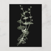 Cup Briefkaart (Voorkant)