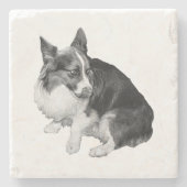 Cup Perch, Foxy Friend Stenen Onderzetter (Voorkant)