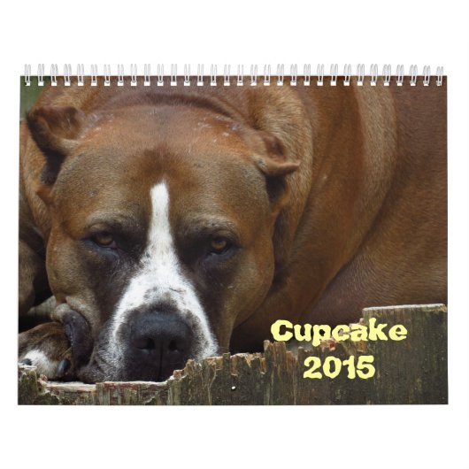 Cupcake-agenda Kalender (Hoes)