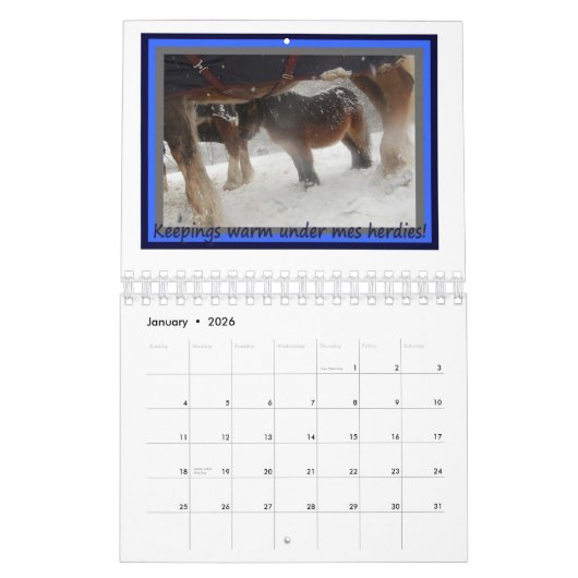 Cupcake The Herdmaster Calendar 7/11 Kalender (Jan 2026)