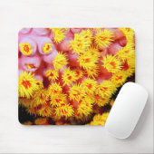 cupcoraal muismat (Met muis)