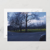 Cupertino Orchard 1960 Briefkaart (Voorkant / Achterkant)