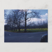 Cupertino Orchard 1960 Briefkaart (Voorkant)