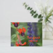 Cuphea met vleermuisgezicht Flower Photographic Bo Briefkaart (Staand voorkant)