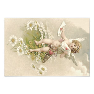 Cupid Cherub Angel Valentijn Daisy Foto Afdruk