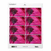 CUPID LACE HEART, FUCHSIA SILK CLOTH roze zwart Etiket (Full Sheet)