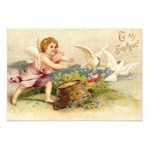 Cupido Cherubijn Engel Duif Hart Foto Afdruk