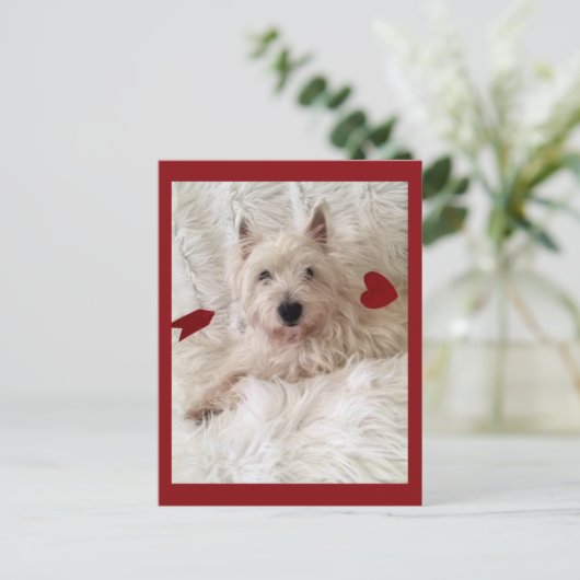 Cupido's Bow Westie Briefkaart (Staand voorkant)