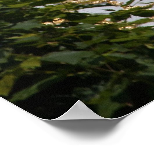 Cupola Poster (Hoek)