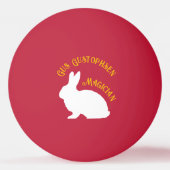 Cups en Ball Trick Custom Rabbit Ping Ball Ball (Achterkant)