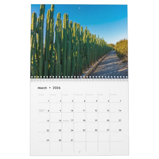 Curacao dreaming kalender (Mar 2026)