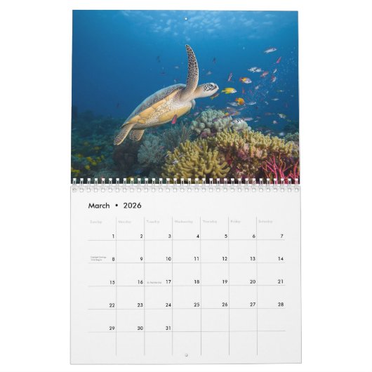 Curacao dreaming  kalender (Mar 2026)