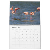 Curaçao Foto Kalender (Feb 2026)