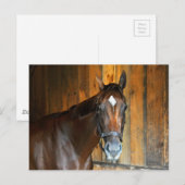 Curalina Briefkaart (Voorkant / Achterkant)