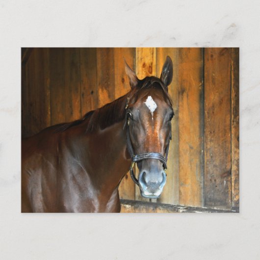 Curalina Briefkaart (Voorkant)