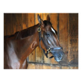 Curalina Foto Afdruk (Voorkant)