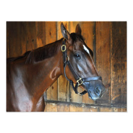 Curalina Foto Afdruk