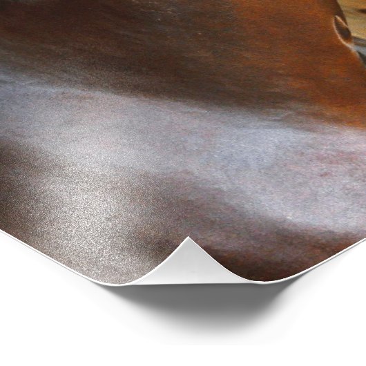 Curalina Foto Afdruk (Hoek)