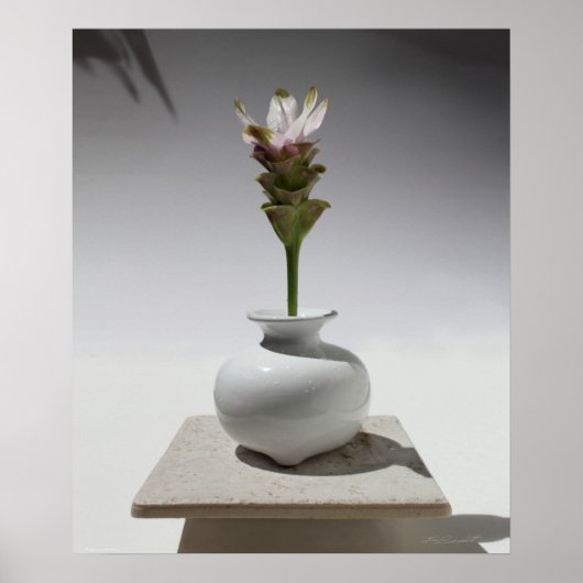 Curcuma Floating Print -20x24 -Andere formaten ook (Voorkant)