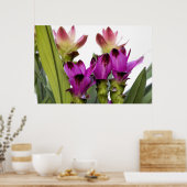 Curcuma Poster (Keuken)