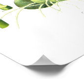 Curcuma zedoaria poster (Hoek)