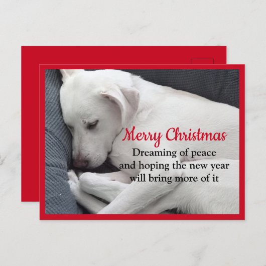 Cure Peaceful Sleeping White Puppy Dog Kerstmis Briefkaart (Voorkant / Achterkant)