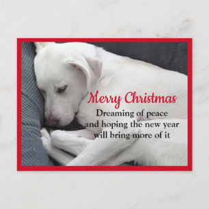 Cure Peaceful Sleeping White Puppy Dog Kerstmis Briefkaart