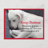Cure Peaceful Sleeping White Puppy Dog Kerstmis Briefkaart (Voorkant)
