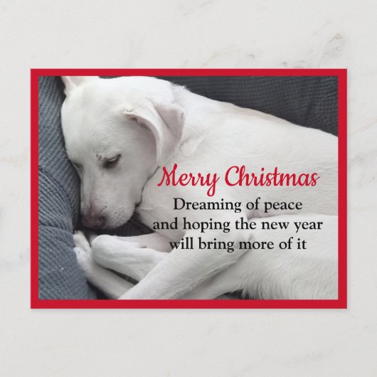 Cure Peaceful Sleeping White Puppy Dog Kerstmis Briefkaart (Voorkant)