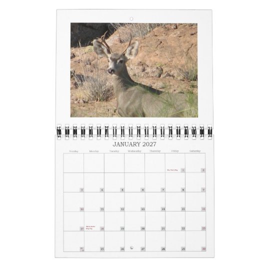 Curieuze agenda voor de dealer kalender (Jan 2027)