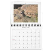 Curieuze agenda voor de dealer kalender (Mar 2027)