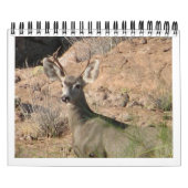 Curieuze agenda voor de dealer kalender (Hoes)