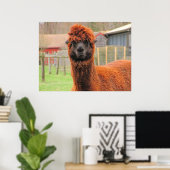 Curieuze alpaca ~ afdruk poster (Thuiskantoor)