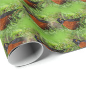 Curieuze Amerikaanse Robin Songbird in de gras Cadeaupapier (Rol Hoek)